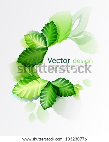 abstract nature leaf ecology