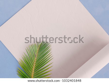 Pink and blue background. Green leaf of a palm tree.