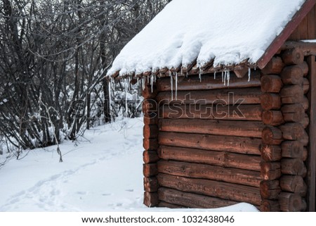 Russian winter in the village
