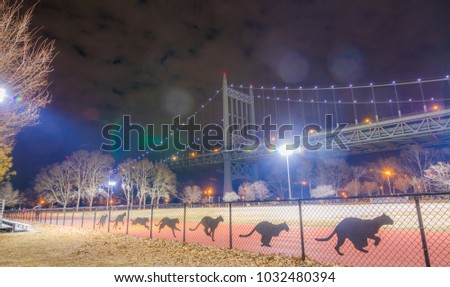 Verrazano bridge in the background New York City