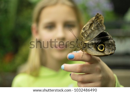 tropical butterfly on hand