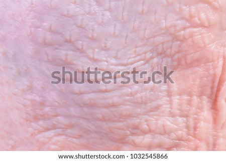 Texture skin chicken