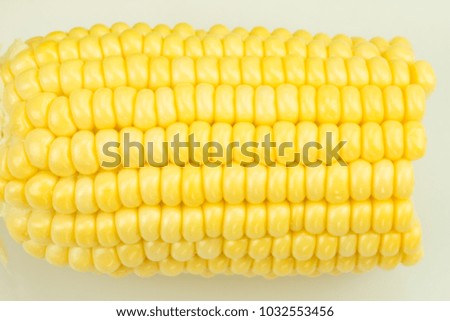 Close up of corn seed  on white background in top view picture style