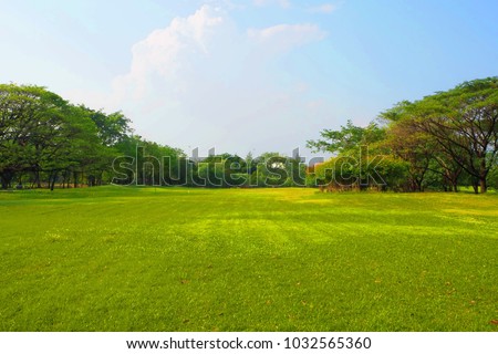 Meadow scenery landscape with blue sky concept. Royalty-Free Stock Photo #1032565360