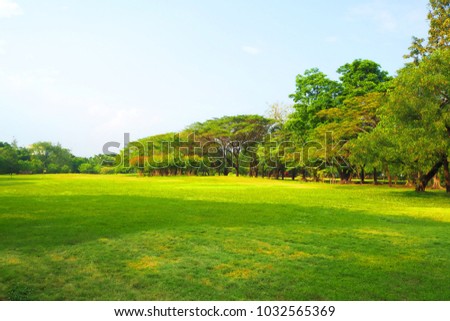 Meadow scenery landscape with blue sky concept. Royalty-Free Stock Photo #1032565369