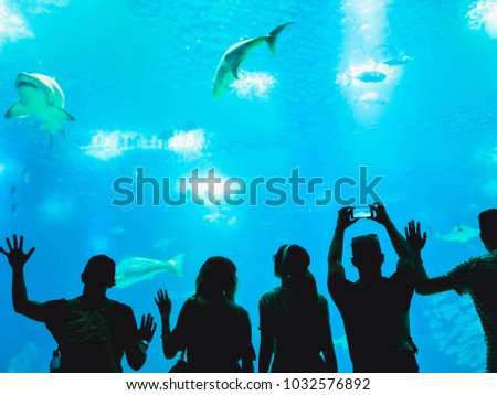 Group of people watching fish in a Oceanarium. Royalty-Free Stock Photo #1032576892