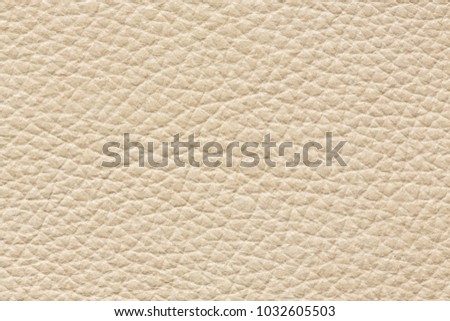 Ideal leather texture in white colour. 