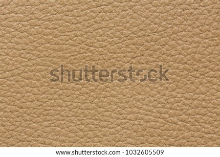 Perfective leather background in light beige tone. 