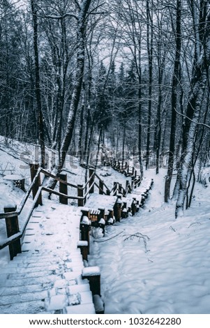 Snowy Stairways in Sigulda