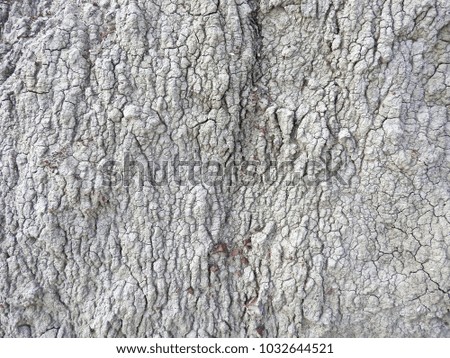 Structure of cracks on the surface of dry soil. Natural background.