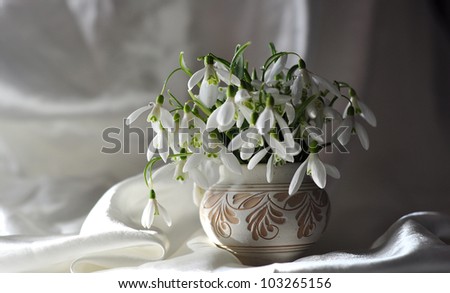 beautiful bouquet of snowdrops in vase