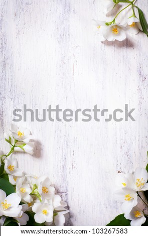 art jasmine spring flowers frame on white background