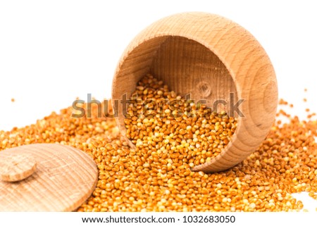 Parrot food isolated on a white background.