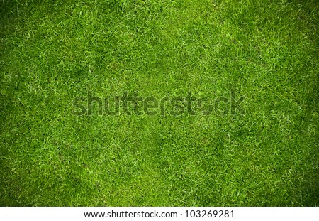 Green grass natural background. Top view Royalty-Free Stock Photo #103269281