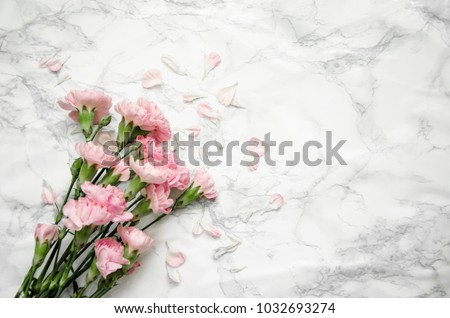 carnations flowers on a marble background