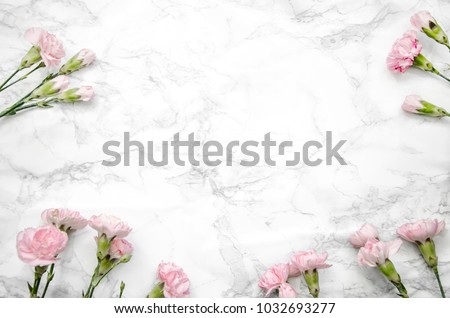 carnations flowers on a marble background