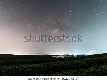 Milky way galaxy over Tea Plantation at Change Ri , North of Thailand.