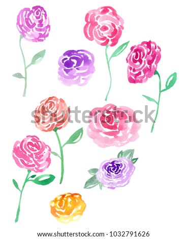 illustration of rose pattern red, pink, purple painted by watercolor hand, isolated on white background