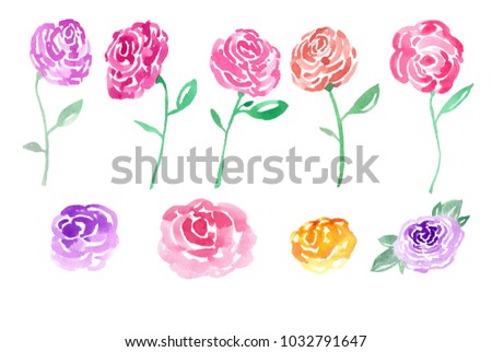illustration of rose pattern red, pink, purple painted by watercolor hand, isolated on white background