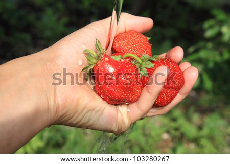 The stream of water to wash strawberries