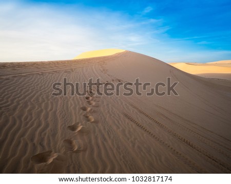 Foot trace and wheels on sand dune with blue sky and sunlight in afternoon are background