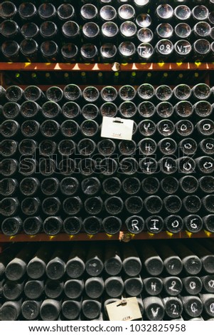 Dusty bottles of Trimbach wine are on the shelf in the wine cellar. Wine industry in France, Alsace. 