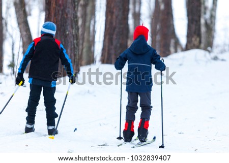 Children in cross-country skiing in winter