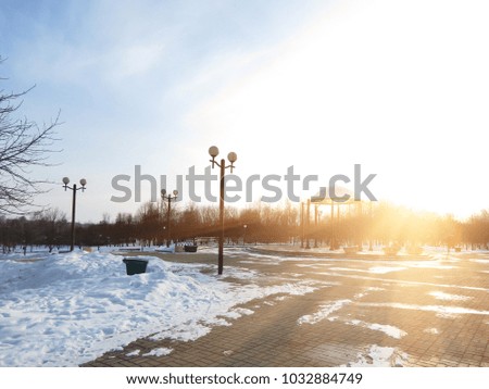 Park covered snow. Beautiful winter sunset with trees in the snow. Rays of sun and footpath