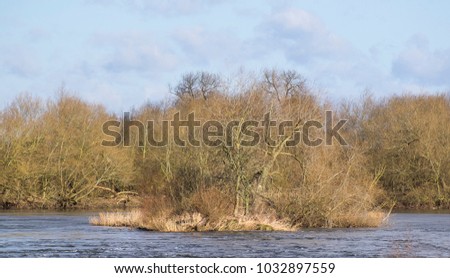 Wooded island in the middle of a river