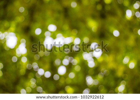 Abstract background of light bokeh in sunny day with green blur background.