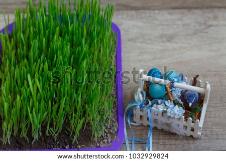 sprouted wheat in the ground on a purple tray is on the table, next are the toy bird and eggs