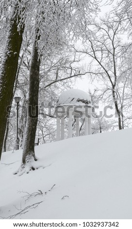 Winter in the park. Rotunda covered with snow alone standing between the trees. In cloudy weather