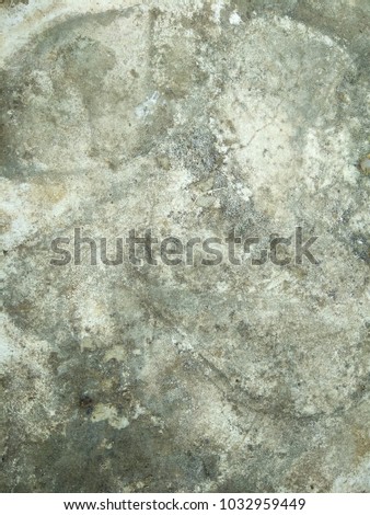 The Grunge of the Concrete surface. The Depiction of the Nebula ( the birthplace of Stars ). Abstract background of Black and White color. 
