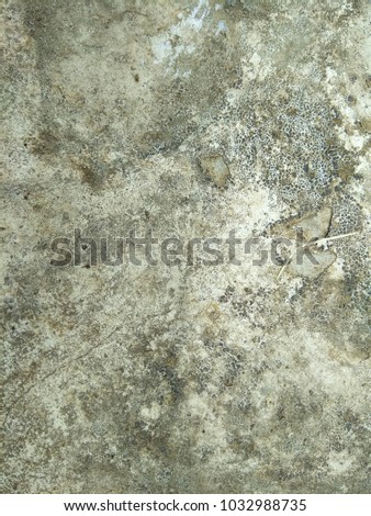 The Grunge of the Concrete surface. The Depiction of the Nebula ( the birthplace of Stars). Abstract background of Black and White color. 