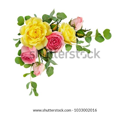 Pink and yellow rose flowers with eucalyptus leaves in a corner arrangement isolated on white background. Flat lay. Top view.