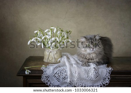Beautiful bouquet of spring flowers and gray Siberian cat