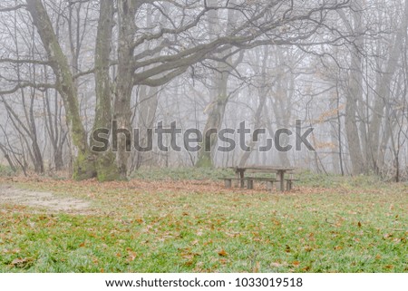 Bench in winter forest on Mount "Fruška Gora" near the town of Novi Sad 