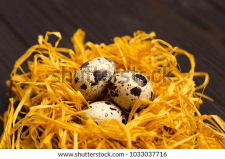 Quail eggs in the decorative nest on dark wooden background.