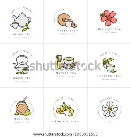 Vector set design colorful templates logo and emblems - organic herbs and teas . Different teas icon. Logos in trendy linear style isolated on white background Royalty-Free Stock Photo #1033051555