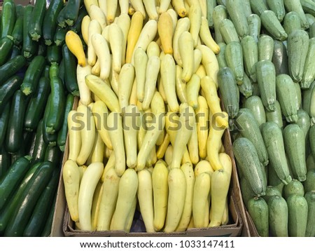 Fresh green and yellow zucchini on the market 
