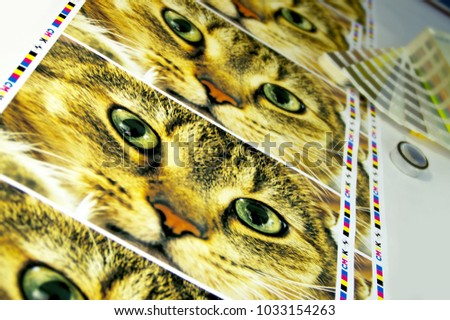 CMYK test printed on white paper. Inkjet print with funny cat picture. Royalty-Free Stock Photo #1033154263