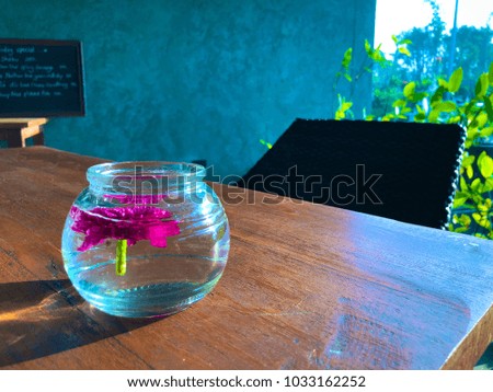 In the morning of the holidays. At the table, there is light sunshine through a bottle of water with a purple flower (chrysanthemum). It's a really good time.