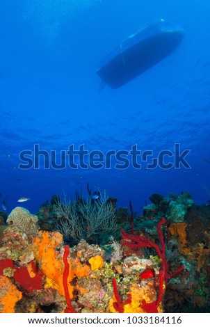 A boat has moored up above a tropical coral reef in Grand Cayman in the Caribbean to drop off scuba divers. The warm blue water is home to many species of hard and soft coral