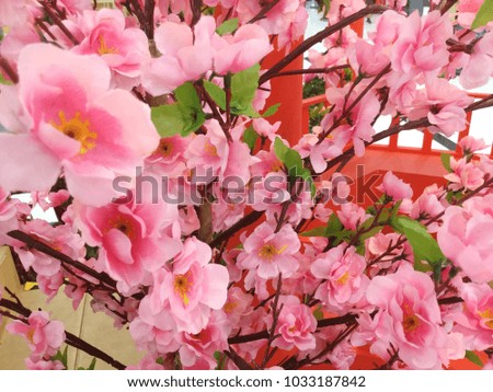 Artificial Sakura flowers for decorating japanese style.
