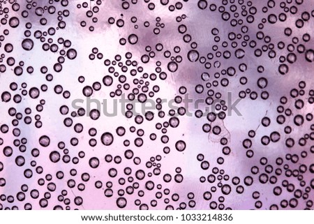 gas bubbles in water on glass