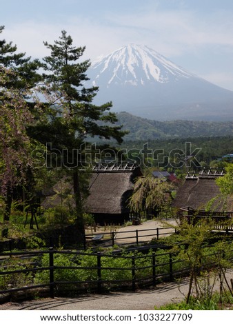 Mount of Fuji