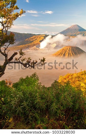 beauitful bromo early in the sunrise in cemoro lawang,indonesia