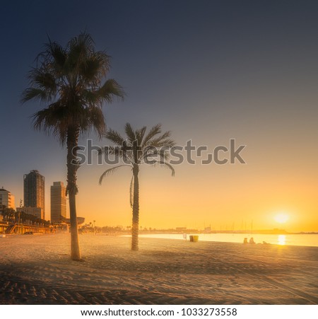 Dramatic sunrset on Barceloneta beach of Barcelona with palm in the foreground, Spain