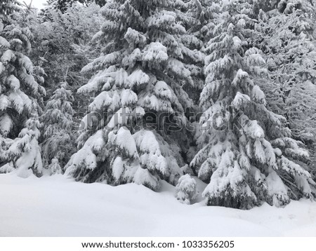 The most beautiful winter in Romania