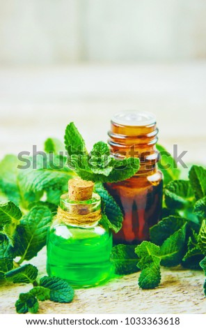 Mint extract. Medicinal plants. Selective focus. 